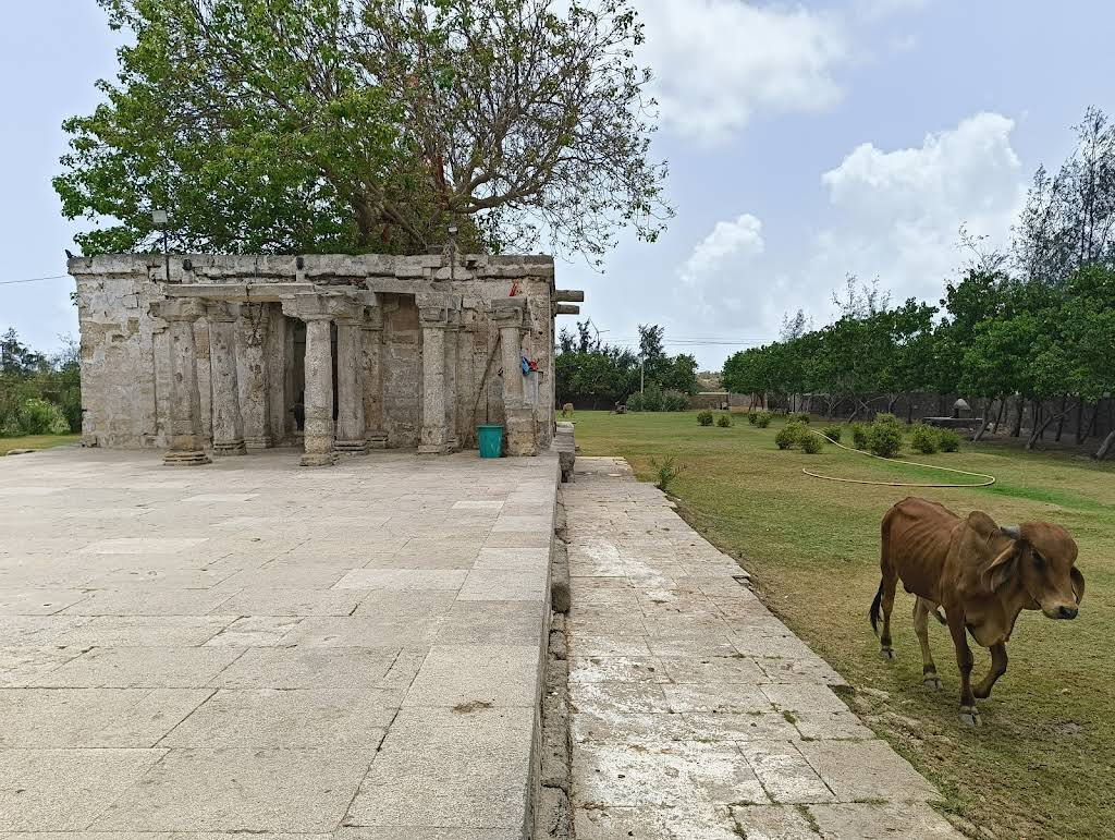 Mahakali Mandir, Navi Dhrevad