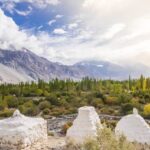 Image from Nubra Valley
