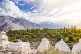 Image from Nubra Valley