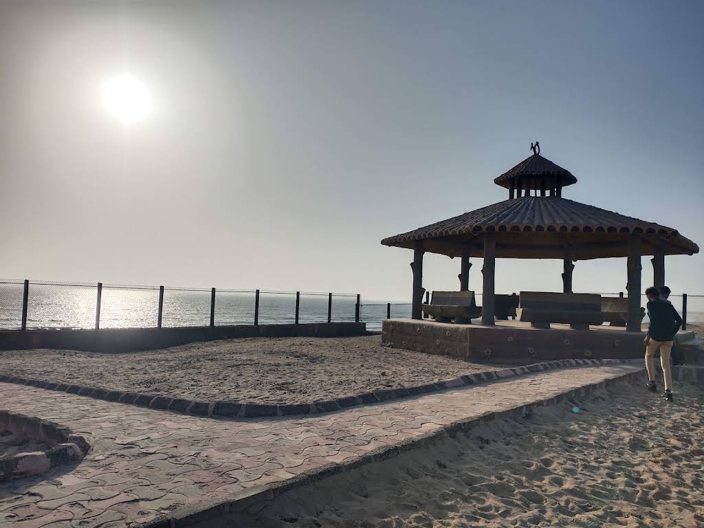 Turtle Develop Centre at Bechtel Beach