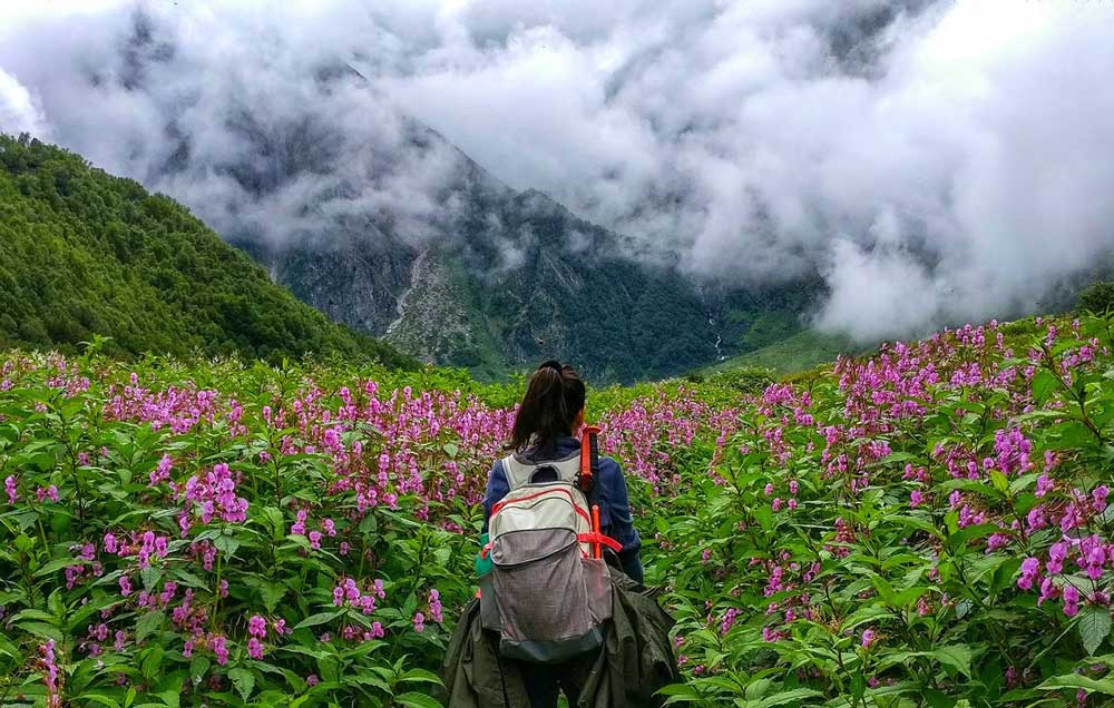 Girl at Valley of Flowers