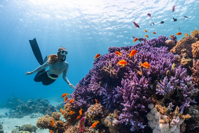 Scuba Diver at Bottom of SEA